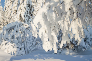 Similar image 8362752