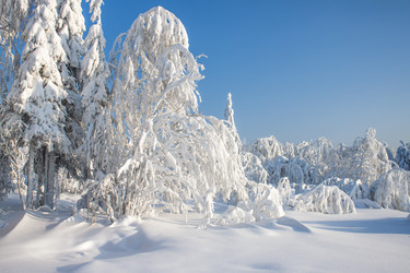 Similar image 8362756