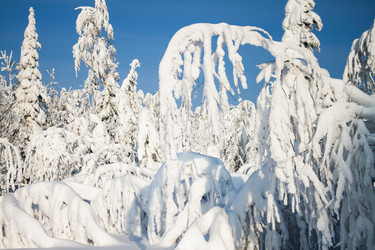 Similar image 8362757