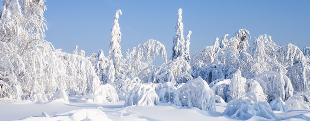 Similar image 8362758