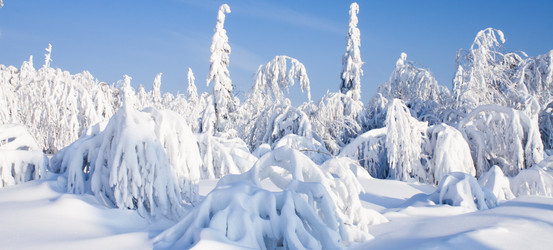 Similar image 8362759