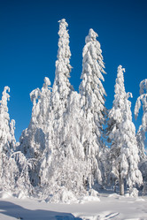 Similar image 8362760