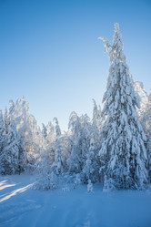 Similar image 8362762