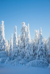 Similar image 8362764