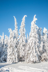 Similar image 8362765