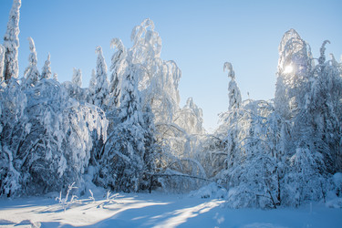 Similar image 8362767