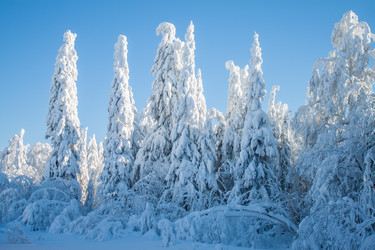 Similar image 8362768