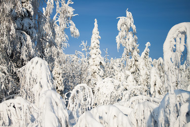 Similar image 8362769