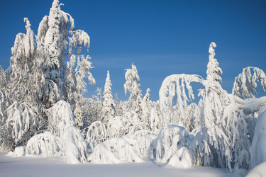 Similar image 8362770