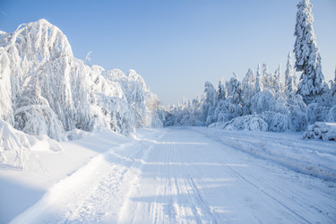 Similar image 8362771