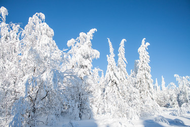 Similar image 8362772