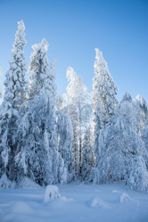 Similar image 8362773