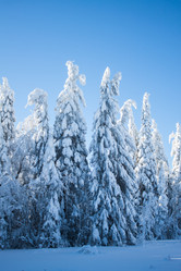 Similar image 8362774