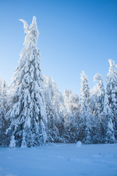 Similar image 8362775