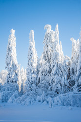 Similar image 8362776