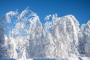 Similar image 8362777