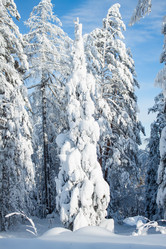 Similar image 8362778