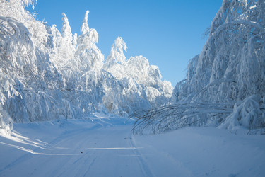 Similar image 8362779