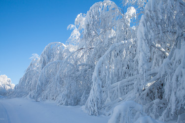 Similar image 8362780