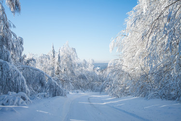 Similar image 8362781