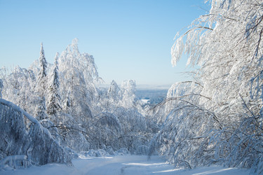 Similar image 8362782