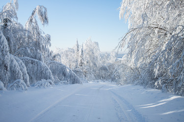 Similar image 8362784