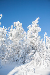 Similar image 8362785