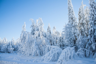 Similar image 8362786