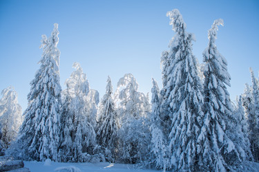 Similar image 8362788