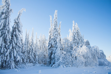 Similar image 8362789