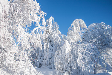 Similar image 8362790