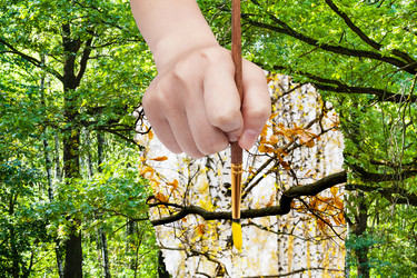 Similar image 8362801