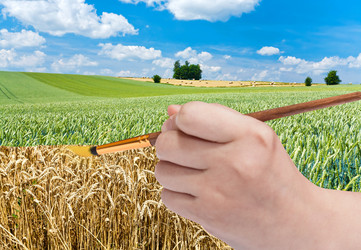 Similar image 8362812