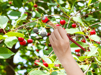 Similar image 8362860