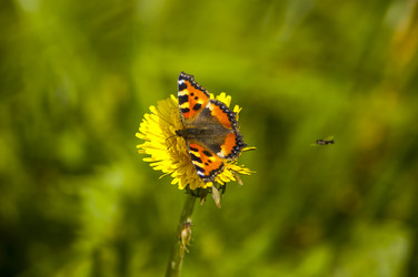 Similar image 8363036