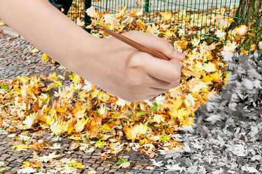 Similar image 8363064