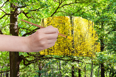 Similar image 8363068