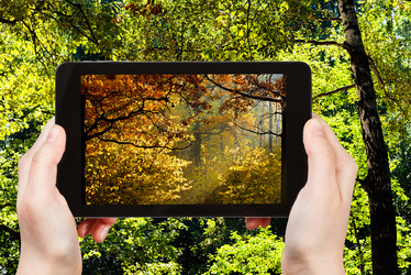 Similar image 8363213