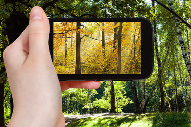 Similar image 8363214