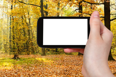 Similar image 8363229