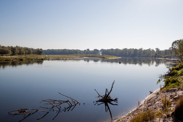 Similar image 8363398