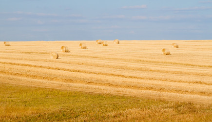 Similar image 8363399