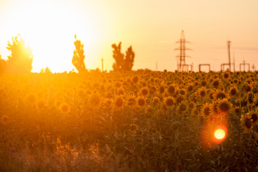 Similar image 8363425