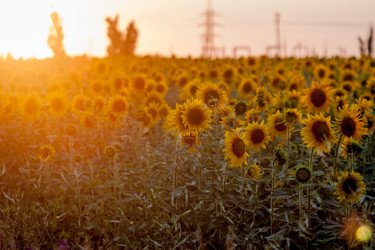 Similar image 8363426