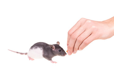 Similar image 8363491