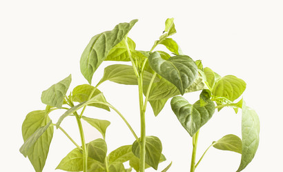 Similar image 8363492