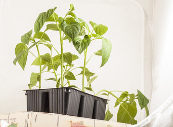 Similar image 8363494