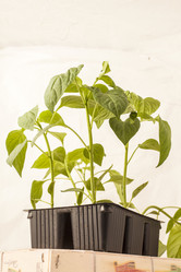 Similar image 8363496