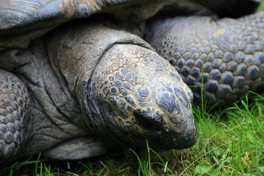 Similar image 8363514