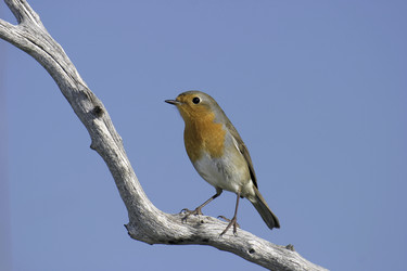 Similar image 8363523